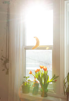 Mobile décoratif de banane